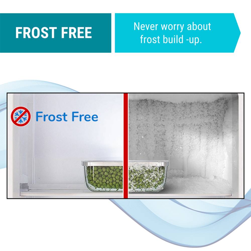 FROST FREE