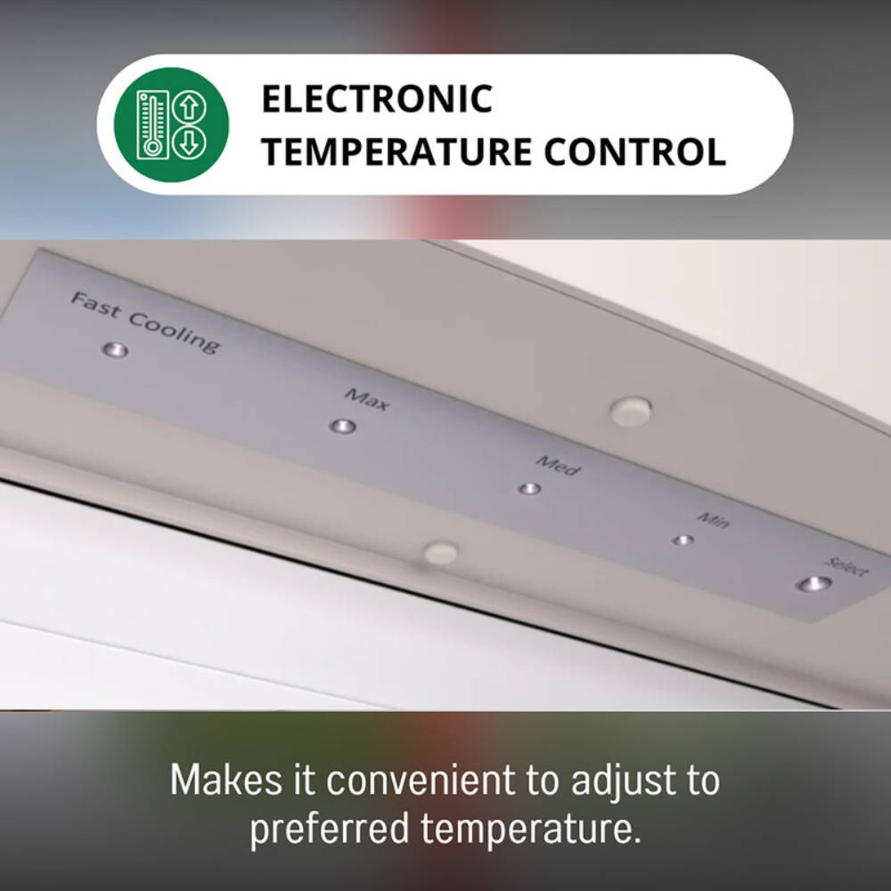 ELECTRONIC TEMPERATURE CONTROL