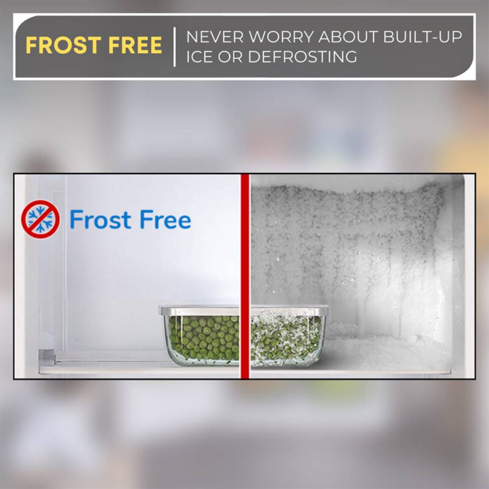 FROST FREE