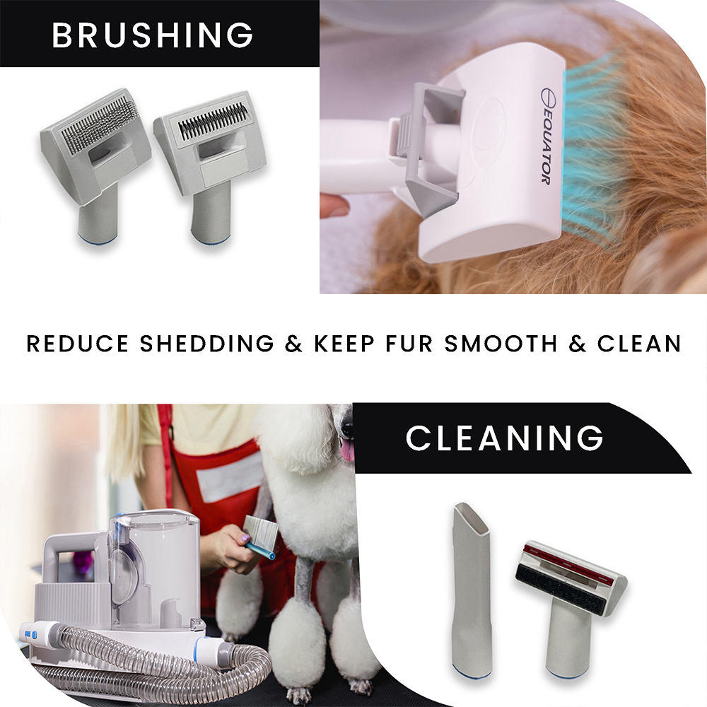BRUSHING