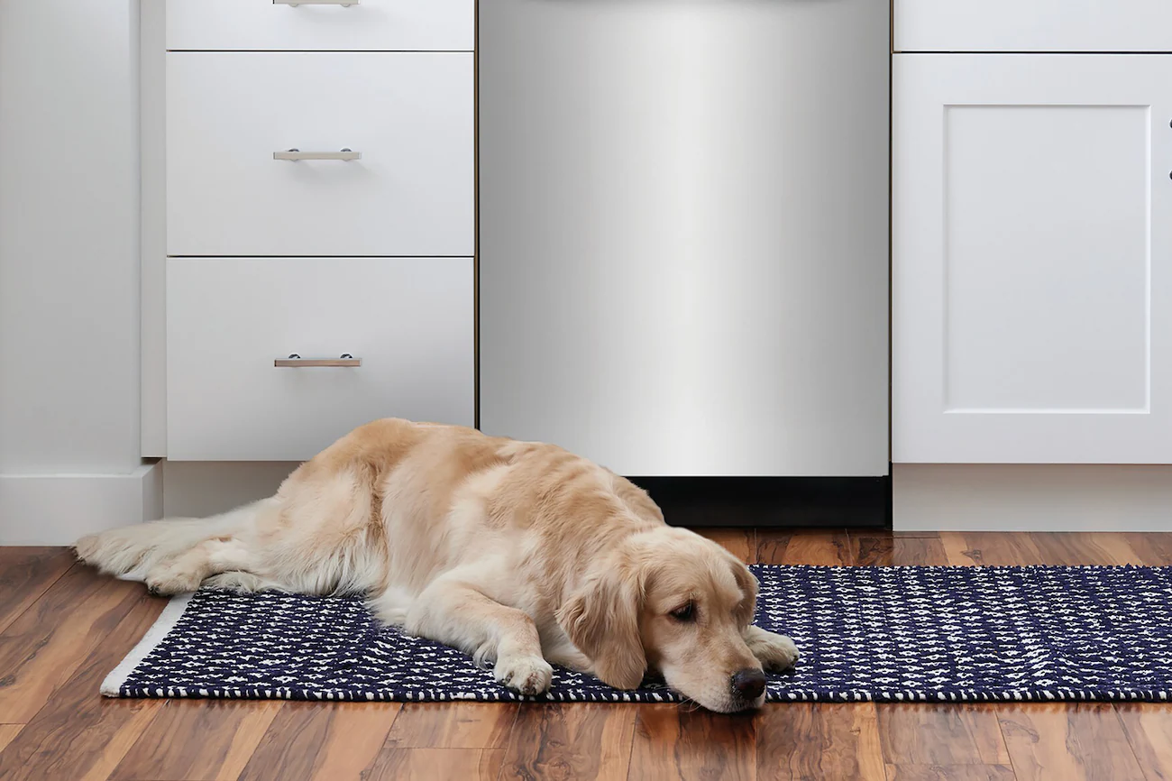 Keep your Kitchen Quiet with 47 dBA