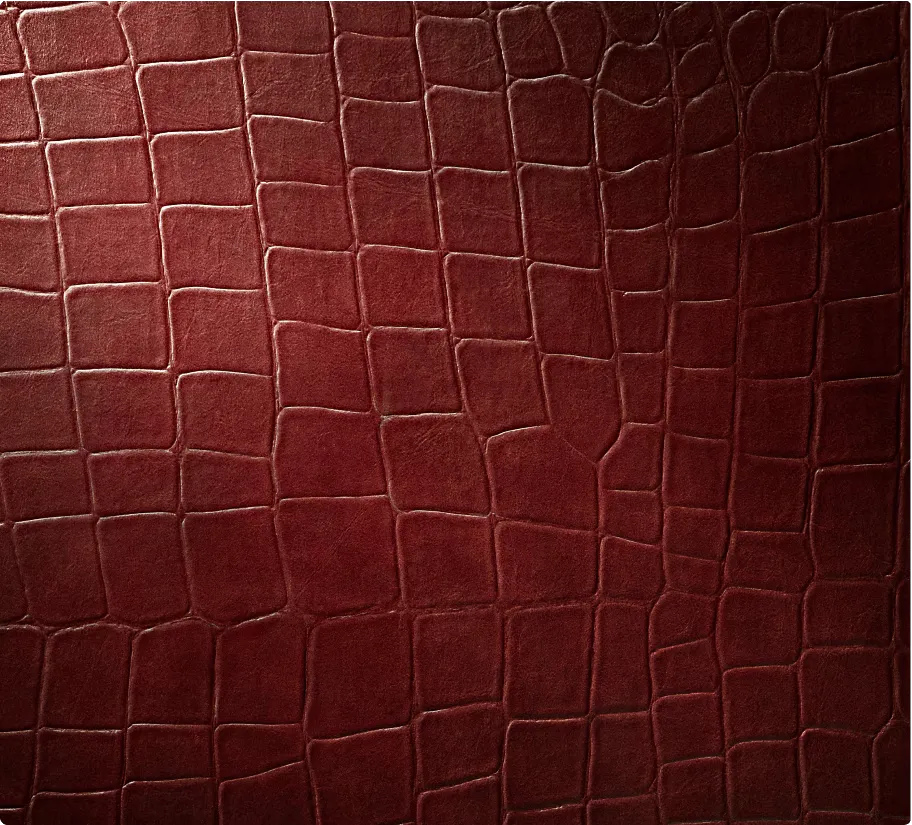 Ostentatious Burgundy Croc