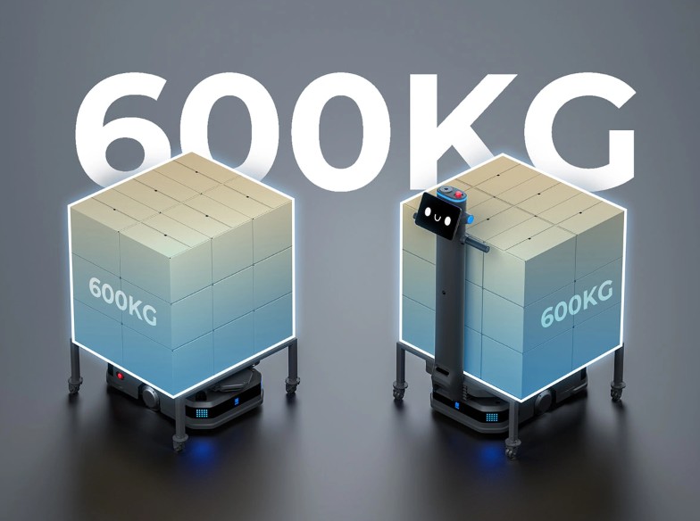 600 kg (1322 lbs) Payload Capacity