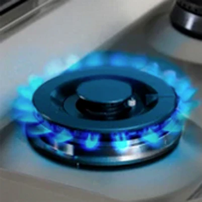 German Made Dual Burners