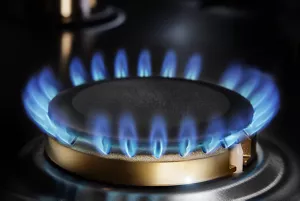 17,000 Btu Ultra-High Output Burner