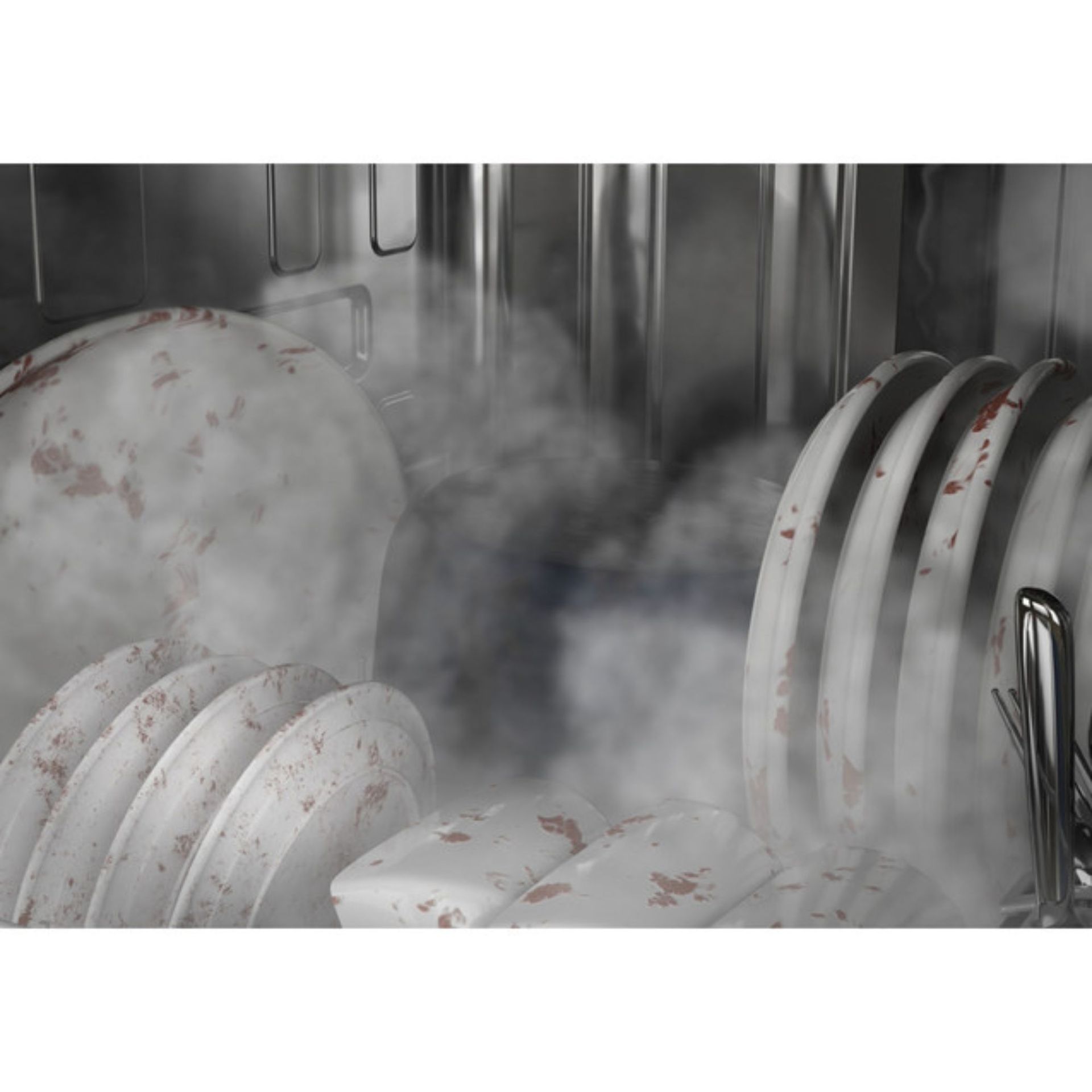 Steam + Sani