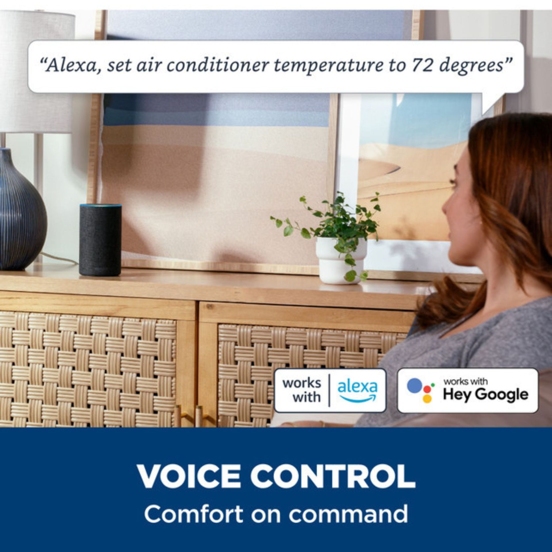 Voice Control
