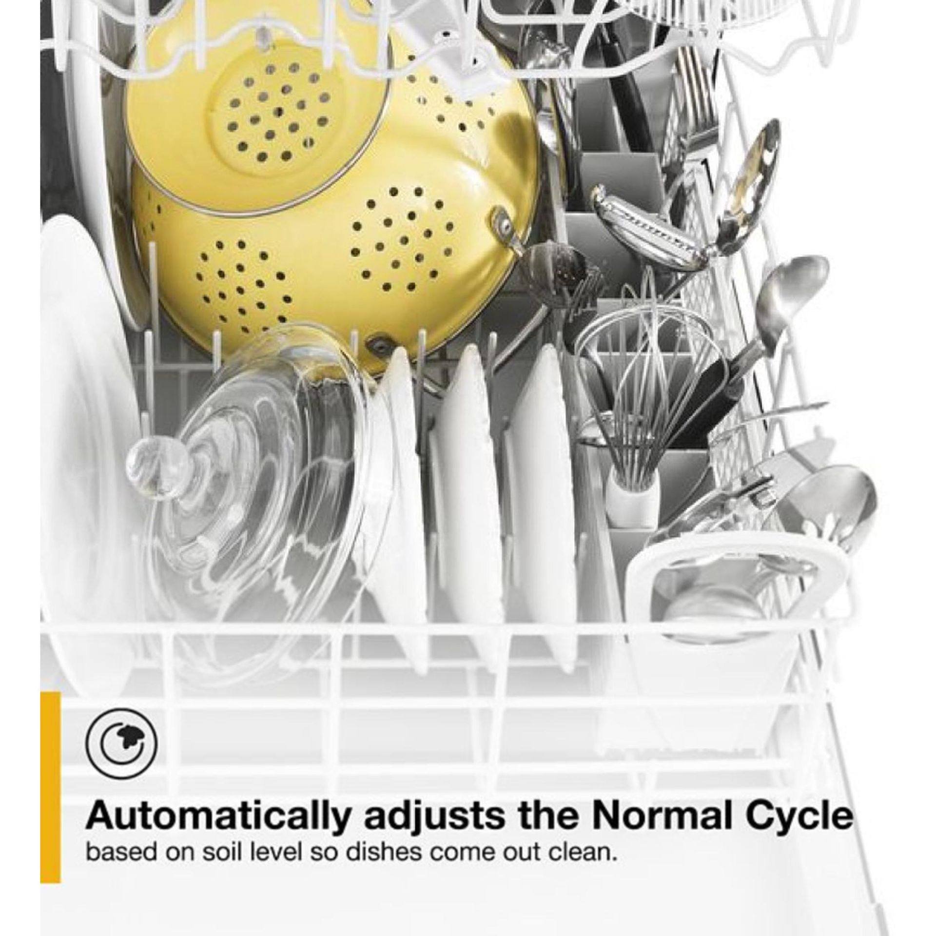 Normal-Cycle