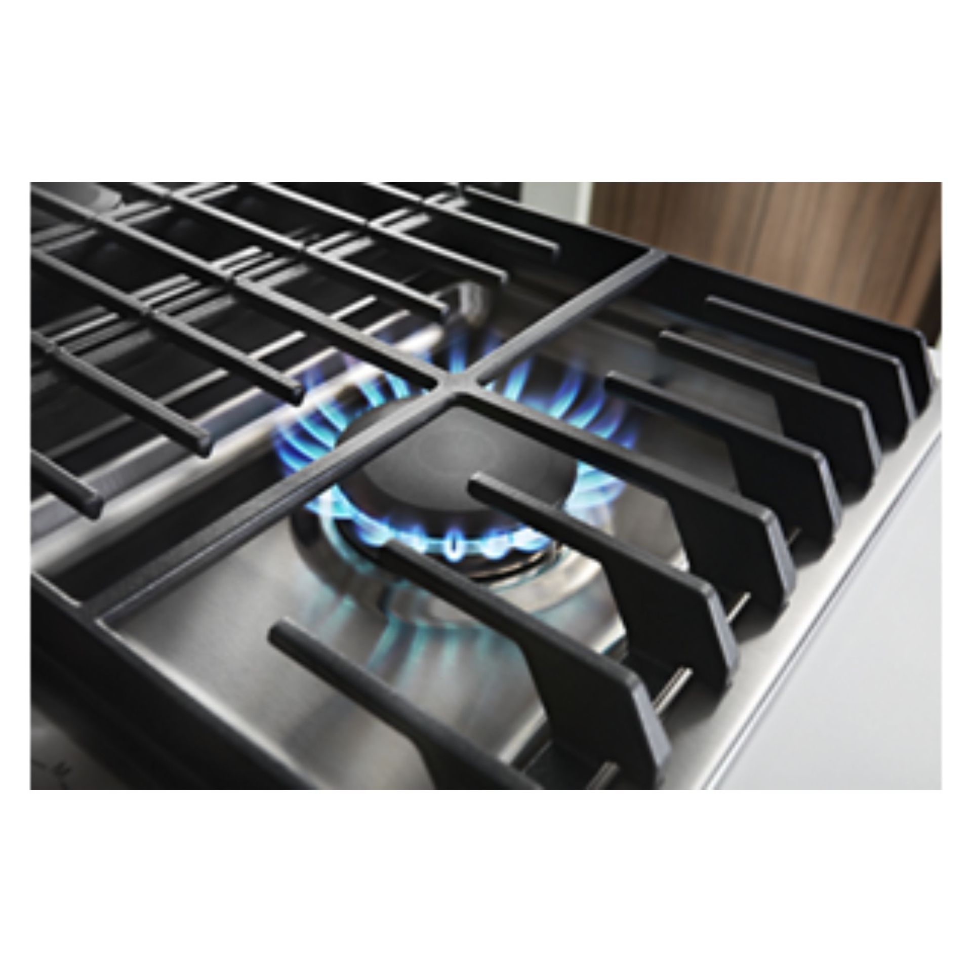 17K BTU Professional Burner