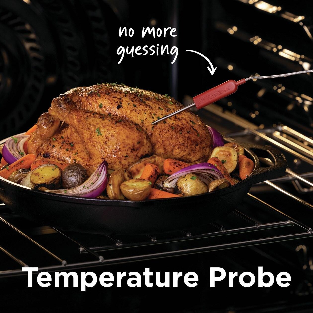 Temperature Probe