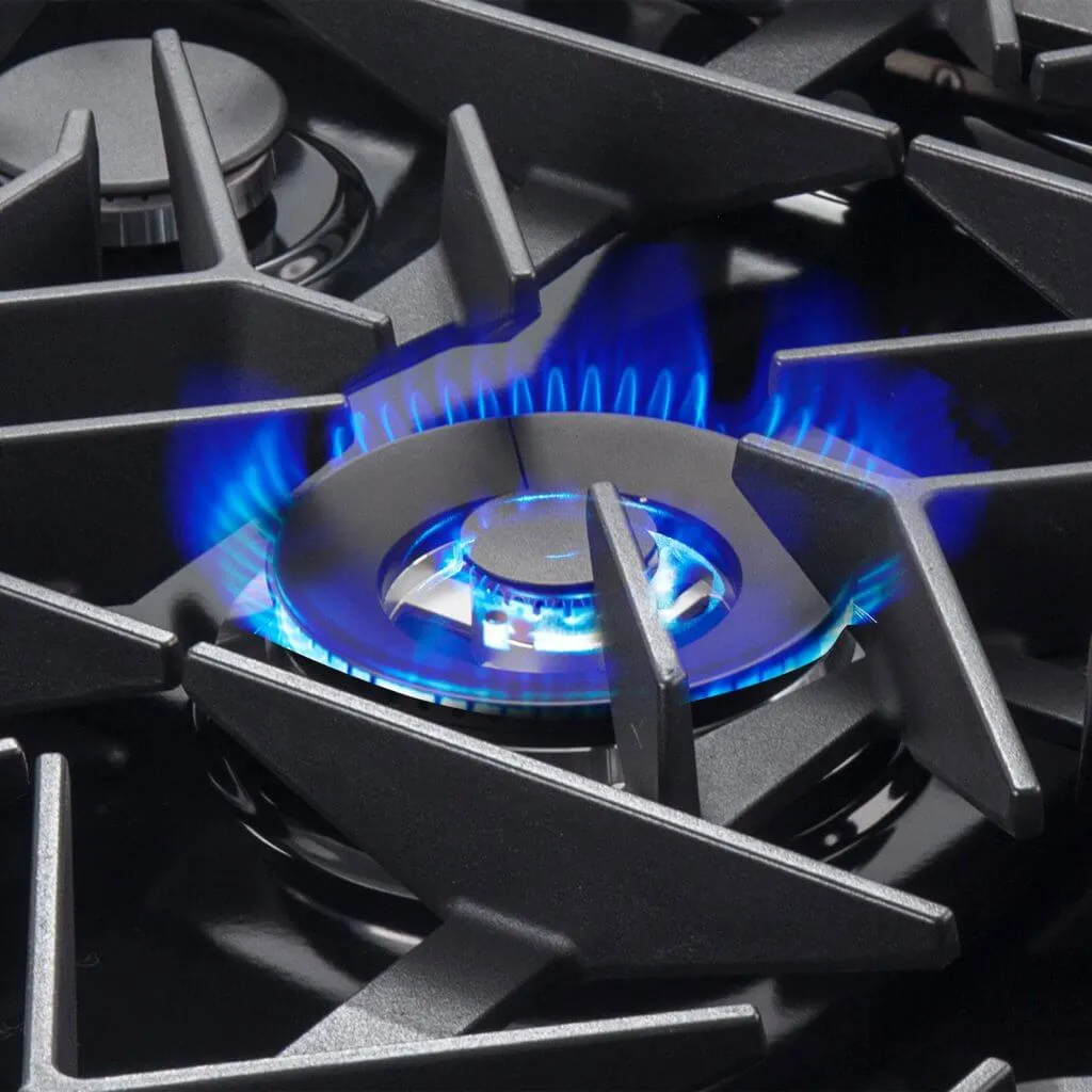 Dual-Ring Burner